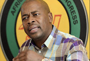 Mzwandile Masina flew into Port Elizabeth for the ANC’s manifesto launch in a luxury eight-seater Learjet 45