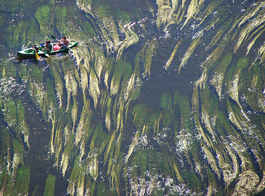 CANOA CANOA! di ETTORE STABILINI