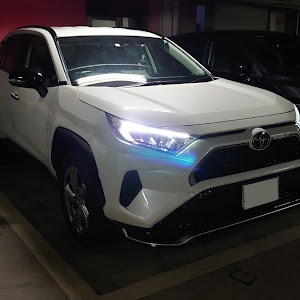 RAV4 MXAA52