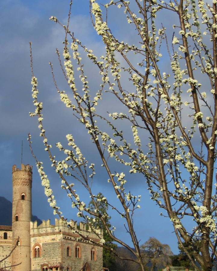 Primavera al castello di  Antonella Giuliani 