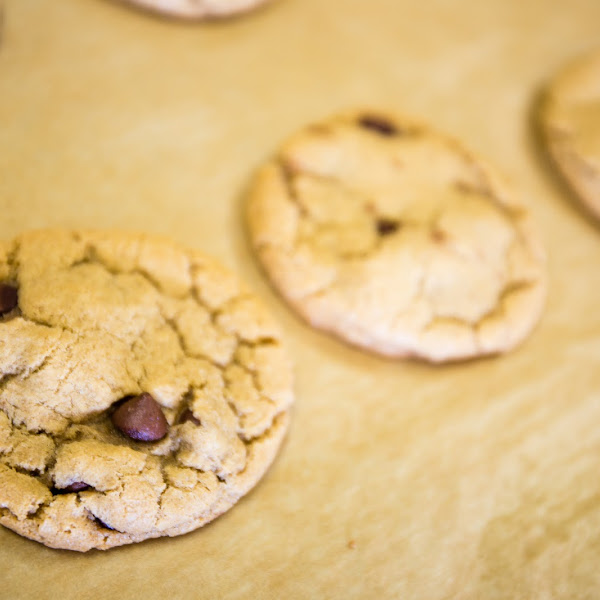 Chocolate Chip Cookies!