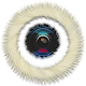 Fluffy Camera Download on Windows