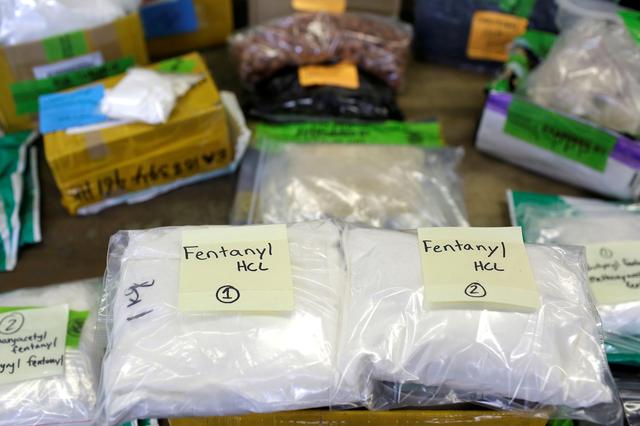 FILE PHOTO: Plastic bags of Fentanyl are displayed on a table at the U.S. Customs and Border Protection area at the International Mail Facility at O'Hare International Airport in Chicago, Illinois, U.S. November 29, 2017. REUTERS/Joshua Lott/File Photo