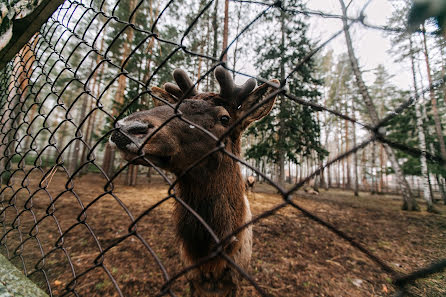 Свадебный фотограф Анна Цой (antsoy). Фотография от 5 мая 2016