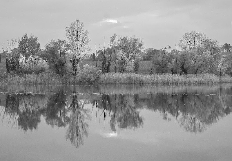 Simmetria naturale di carlo-bi