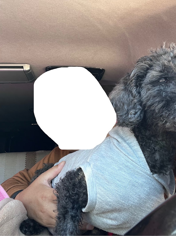 ハイエースの大きな子供@raimon.sakataガレージさんが投稿したカスタム事例の投稿画像1枚目