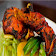 Chicken Tikka Urdu Recipes icon