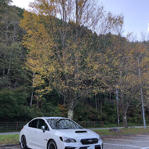 WRX S4 VAG