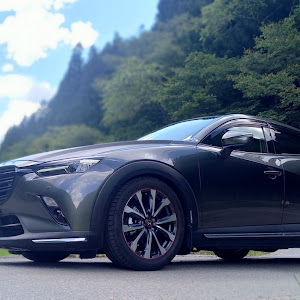 CX-3 DKEFW