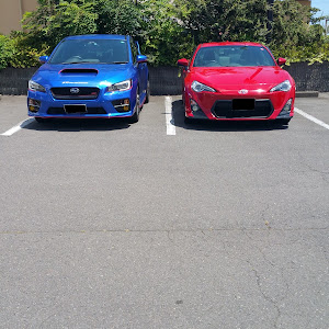 86 ZN6