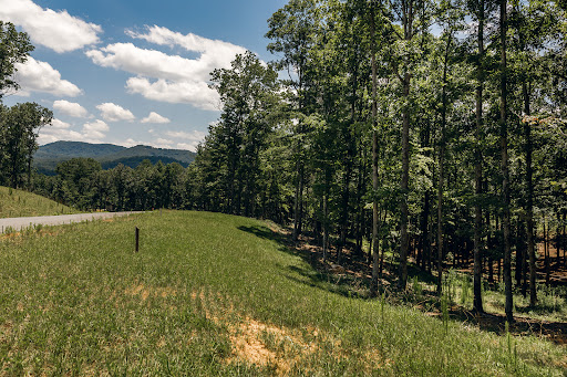Terrain 4