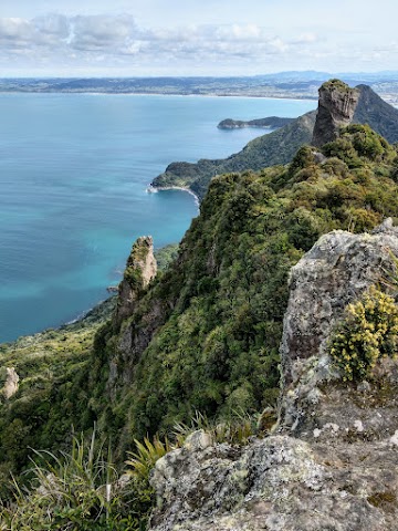 Te Whara Track Scenic Lookout View