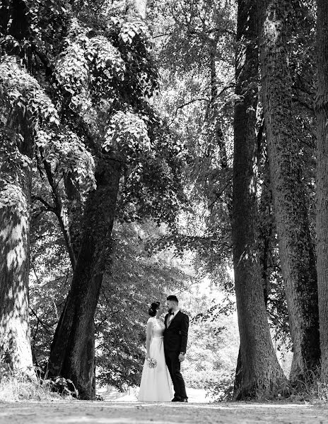 Photographe de mariage Gražvydas Kaškelis (grazvisphoto). Photo du 15 mars 2020