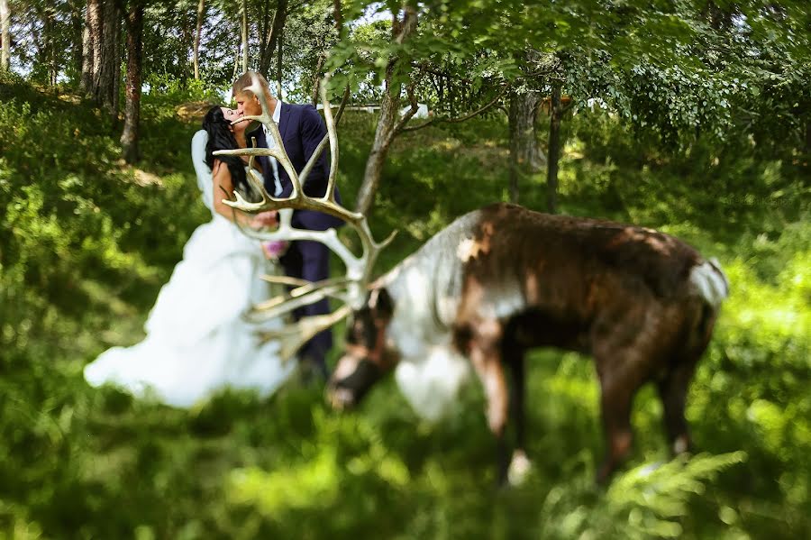 Hochzeitsfotograf Aleksey Kozlov (kozlove). Foto vom 25. Januar 2015