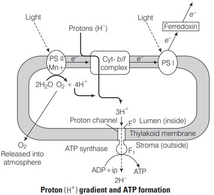 Solution Image