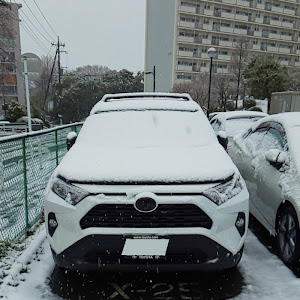 RAV4 AXAH52