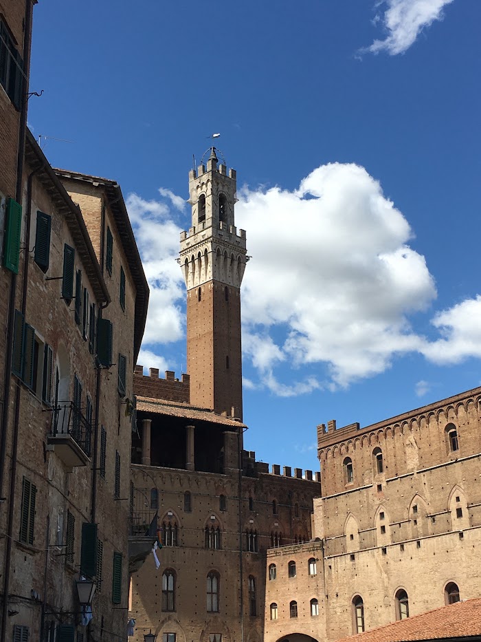 Palazzo Pubblico en Torre del Mangia, gezien vanaf Piazza del Mercato