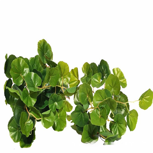 Title 11, Emulational Greenery Bonsai Large Leaf Plant Br...