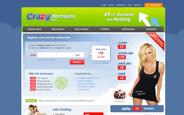 Crazy Domains chrome extension