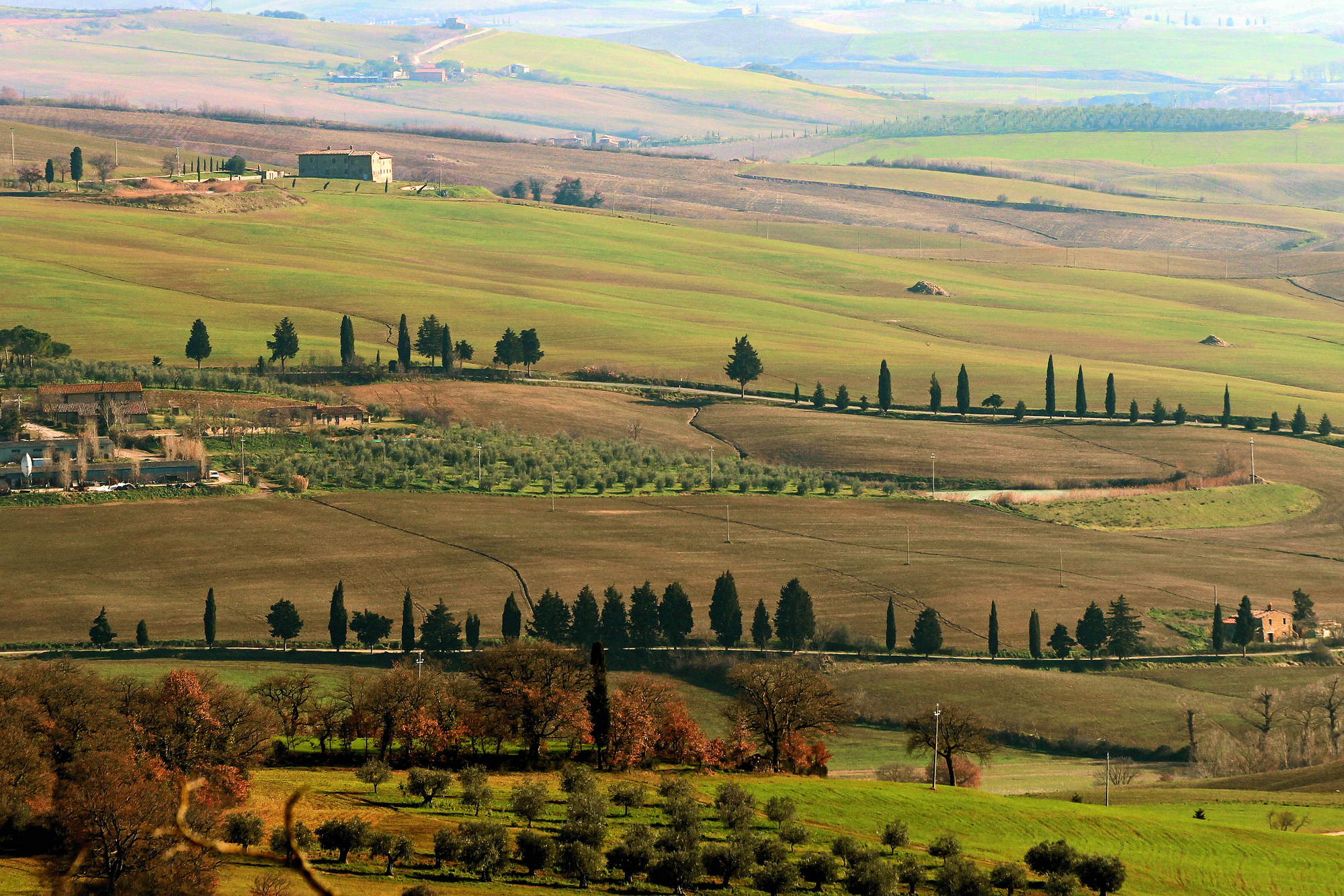 Toscana verde di danielasmerieri