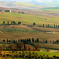 Toscana verde di 