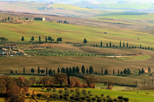 Toscana verde di danielasmerieri