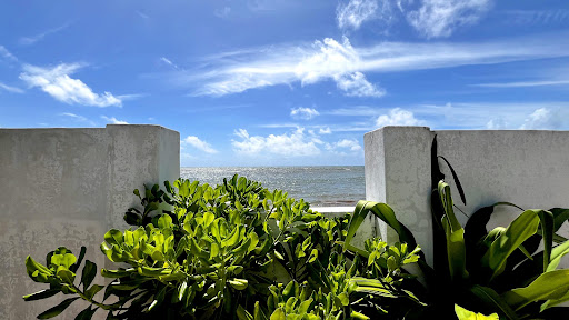Maison avec terrasse 3