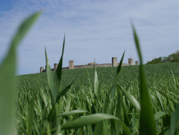 Monteriggioni di Igor_26