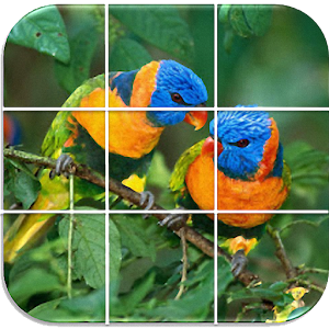 Birds Puzzle PRO