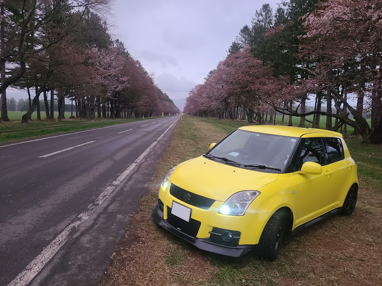 スイフトスポーツのさくら・二十間道路桜並木・葉桜と愛車・天気が悪い・きれいだったに関するカスタム事例の投稿画像1枚目