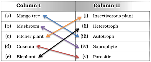 Solution Image