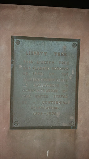 Liberty Tree 