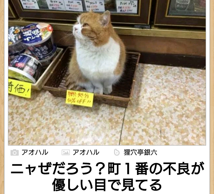 フィットのわかる人にはわかる・長編多数画像投稿・笑顔でストレスレス・安全装備の笑顔は5つ星🎵・もっちーさんの3秒で笑いまshowに関するカスタム事例の投稿画像80枚目
