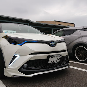 C-HR ZYX10