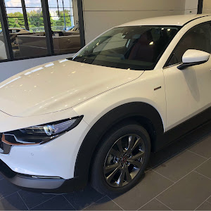 CX-30 DM8P