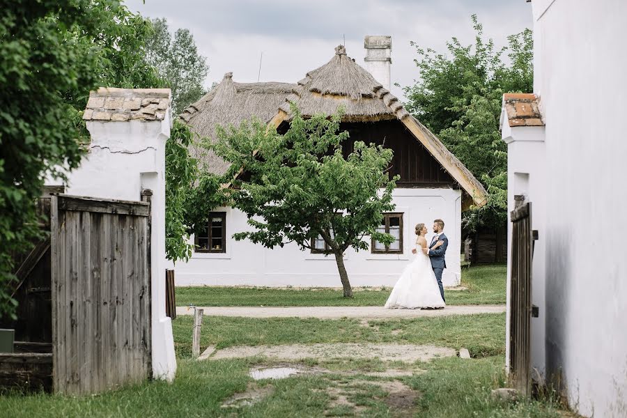 Fotógrafo de casamento Laszlo Vegh (laca). Foto de 16 de junho 2018