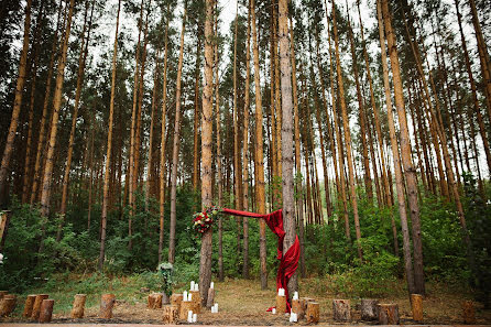 Wedding photographer Lyudmila Babikova (ludmilababikova). Photo of 17 January 2017