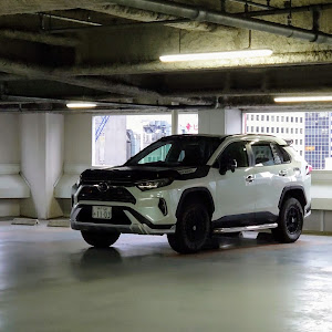 RAV4