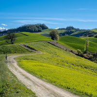 Curve in collina di gnuc