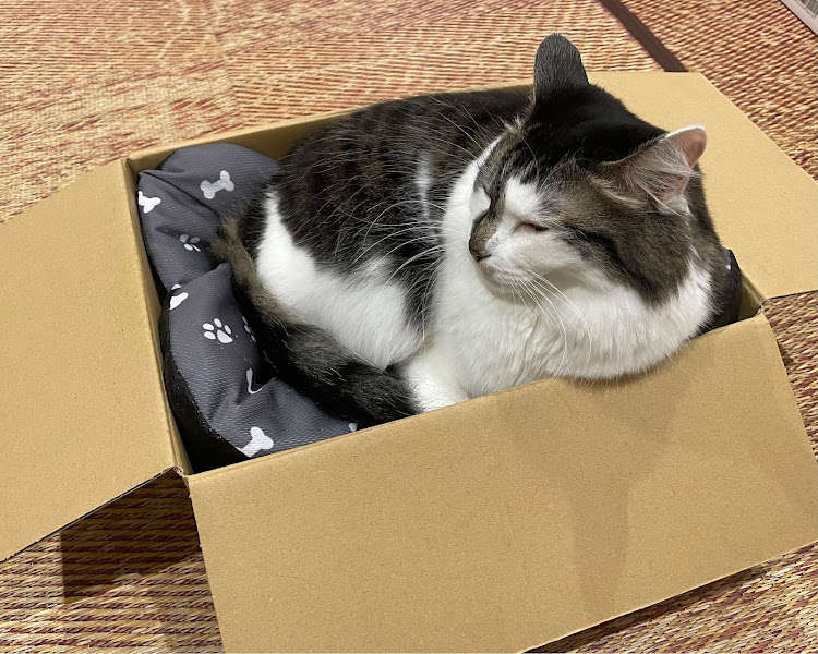 ステップワゴンの師匠・カーオーディオ・バスレフサブウーハー・DIYカーオーディオ・猫ちゃんに関するカスタム事例の投稿画像12枚目