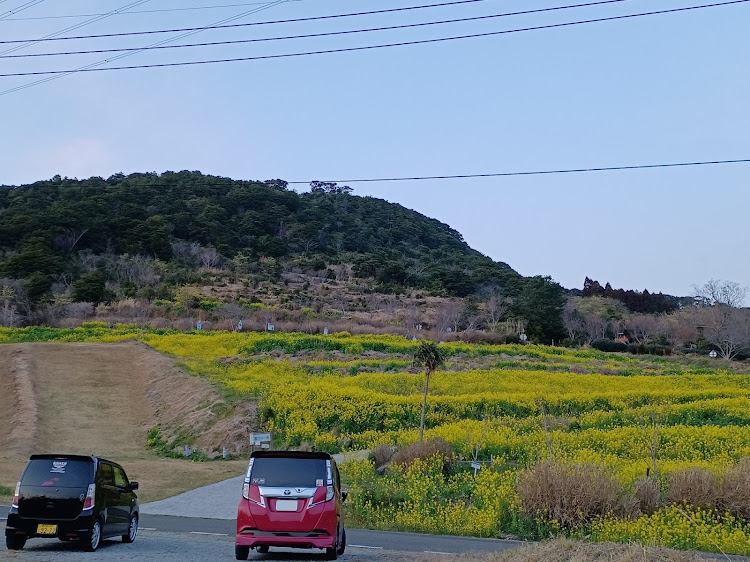 ワゴンRスティングレーのタンク・コラボ.ᐟ .ᐟ .ᐟ・ワゴンRスティングレー・菜の花と愛車・鹿児島に関するカスタム事例の投稿画像2枚目