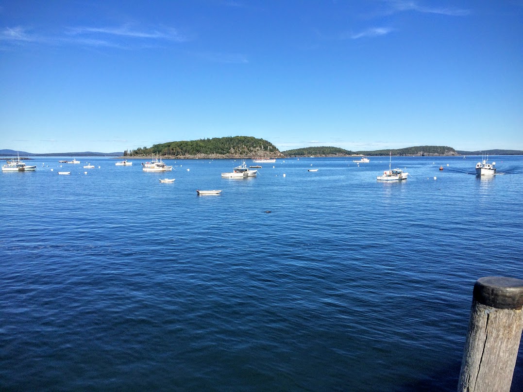 The little black spot in the foreground is a sea lion that was playing around in the harbor.