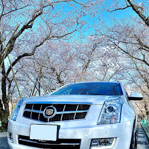 SRX クロスオーバー