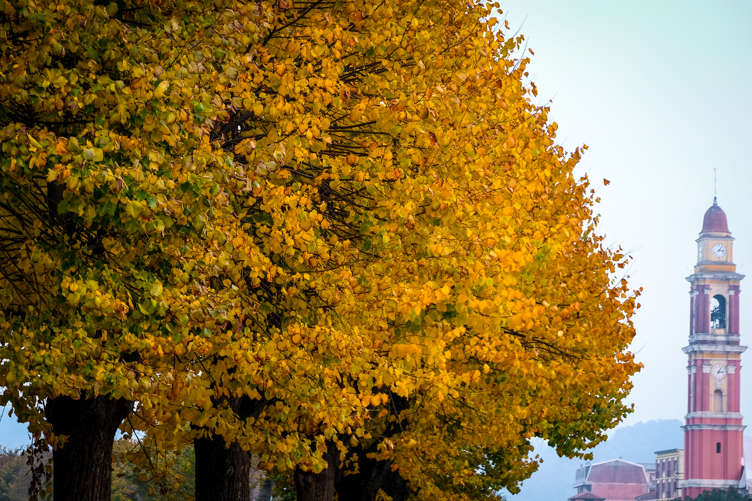 Autunno nella mia cittadina di Ro51