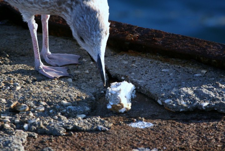 Prima Colazione di billo2008