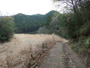 カヤト原の横を通る