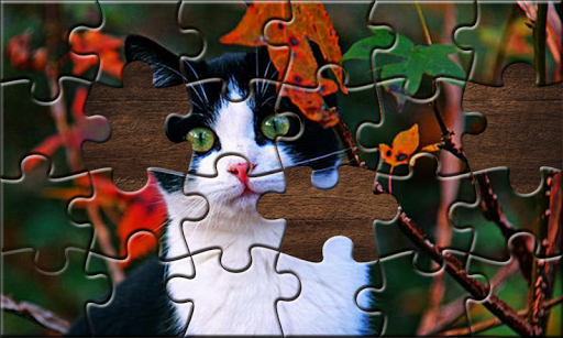 Screenshot Jigsaw Puzzle: Puzzle Game