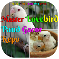 Masteran Lovebird Paud Gacor Kepo Offline