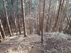 県境沿いに進む（県境には盛り土が）