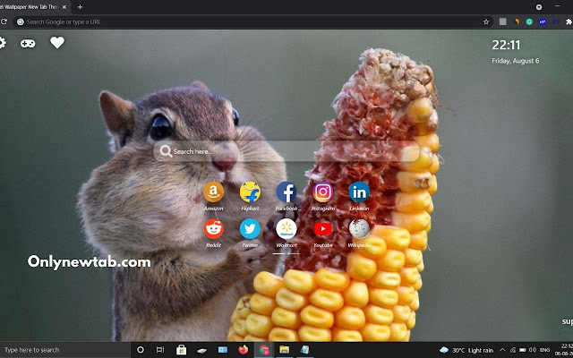 Squirrel Wallpaper New Tab Theme